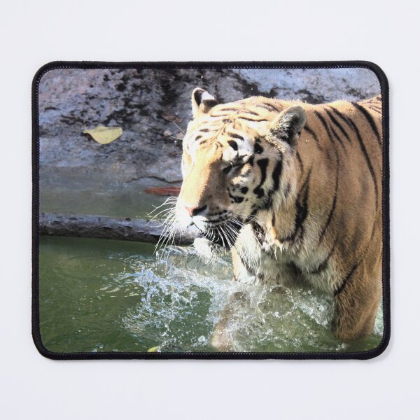 Item preview, Tiger on the prowl designed and sold by LIANNT84.