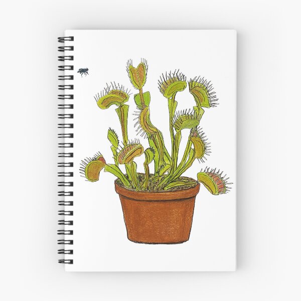Item preview, Hand Drawn Venus Fly Trap designed and sold by Lena Draws.