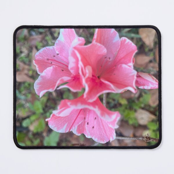 Item preview, Pink Azaleas designed and sold by SkyrozeTs.