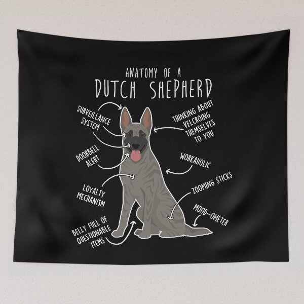 Item preview, Dutch Shepherd Dog Anatomy designed and sold by Clara Hollins.