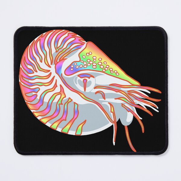 Item preview, Rainbow Nautilus designed and sold by Suchnothing.