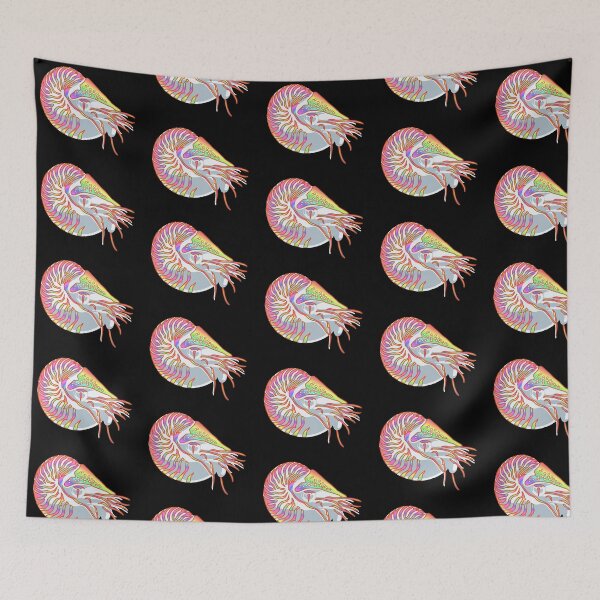 Item preview, Rainbow Nautilus designed and sold by Suchnothing.