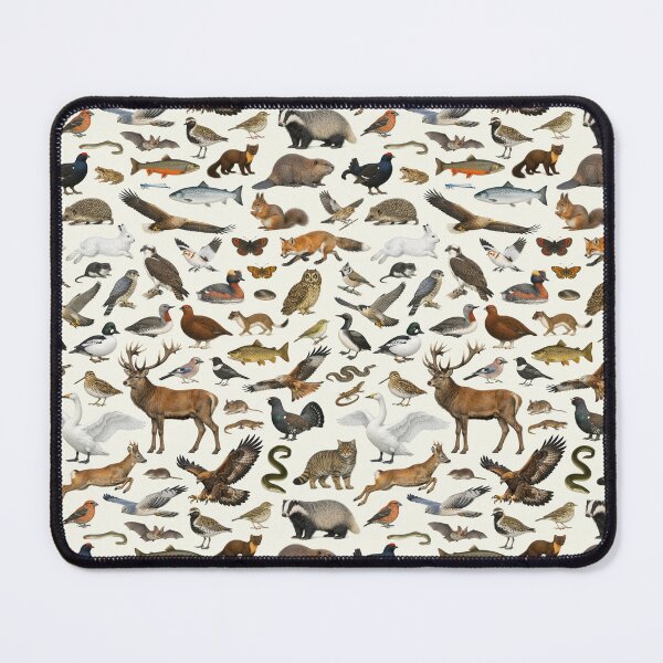 Item preview, Animals of the Scottish Highlands Retro Wildlife Chart designed and sold by kakarikihill.