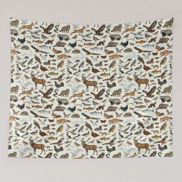Item preview, Animals of the Scottish Highlands Retro Wildlife Chart designed and sold by kakarikihill.