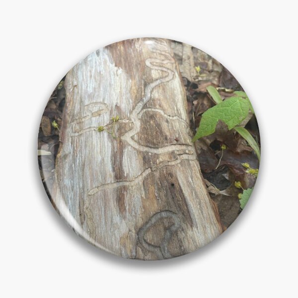 Item preview, Emerald Ash Borer Larvae Tunnels 1 designed and sold by CrowCottage51.