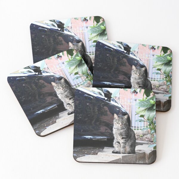 Item preview, Tabby Cat Near Car and Plants designed and sold by getmybookstore.