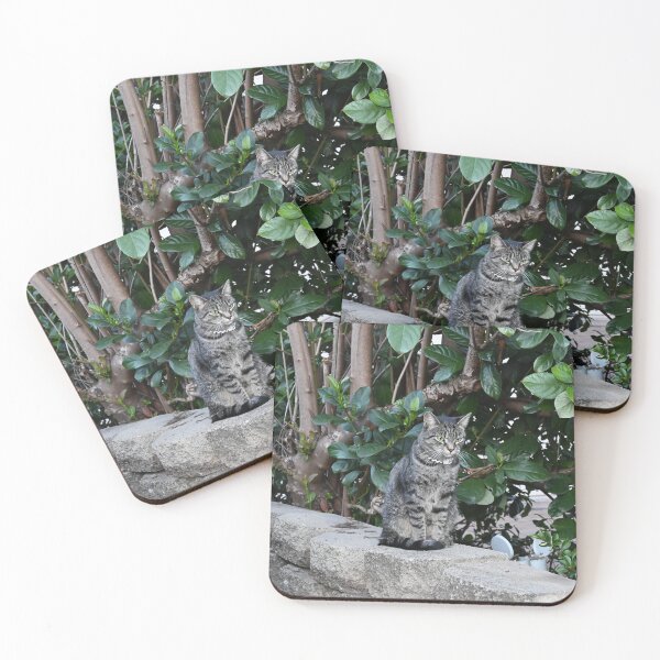 Item preview, Curious Cat Among Greenery designed and sold by getmybookstore.