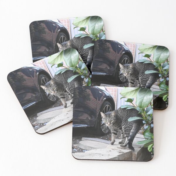 Item preview, Curious Cat Stretching Back designed and sold by getmybookstore.