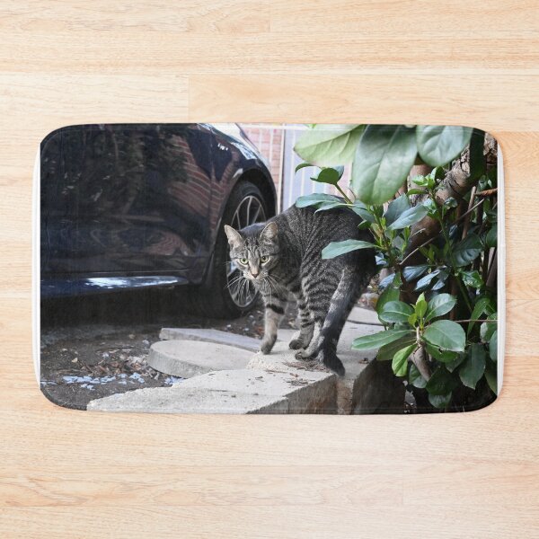 Item preview, Curious Cat Stretching Back designed and sold by getmybookstore.