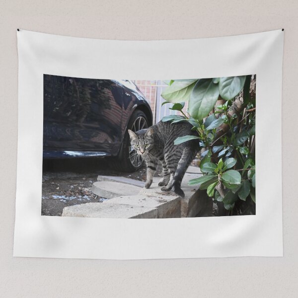 Item preview, Curious Cat Stretching Back designed and sold by getmybookstore.