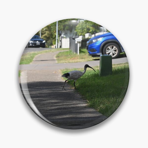 Item preview, Bin Chicken Stalks Along Sidewalk designed and sold by getmybookstore.