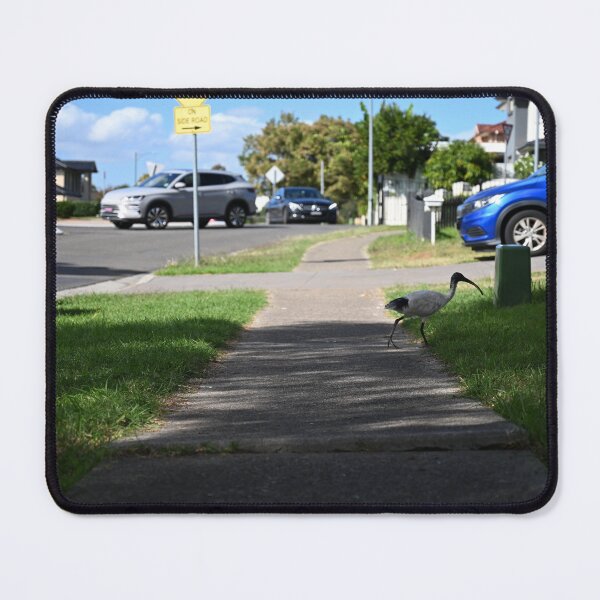 Item preview, Bin Chicken Stalks Along Sidewalk designed and sold by getmybookstore.
