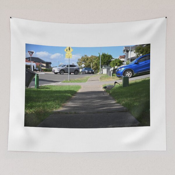 Item preview, Bin Chicken Stalks Along Sidewalk designed and sold by getmybookstore.