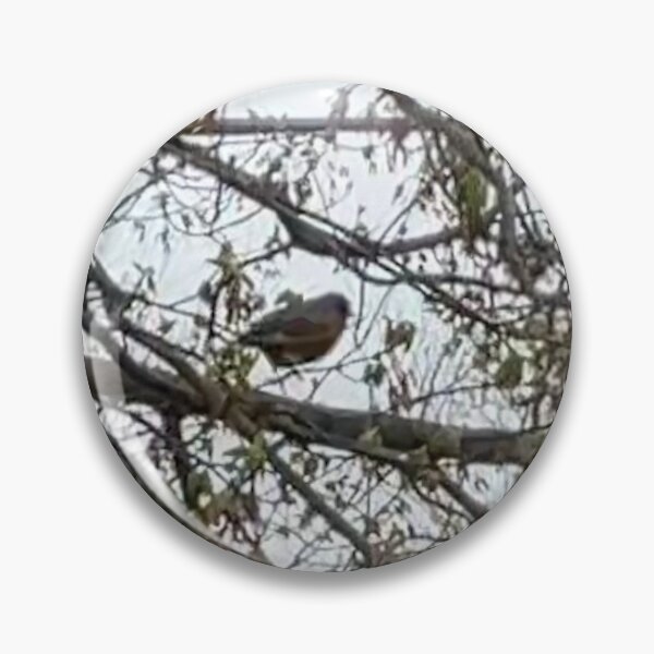 Item preview, Robin in a Tree designed and sold by Amanda1775.