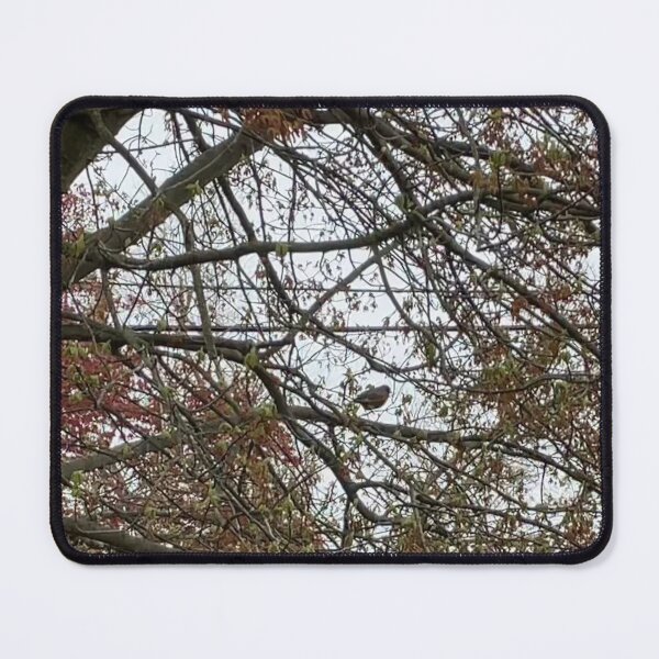 Item preview, Robin in a Tree designed and sold by Amanda1775.