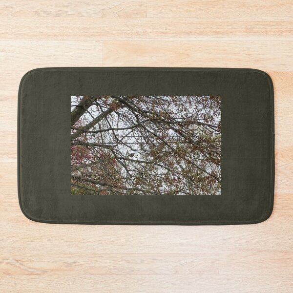 Item preview, Robin in a Tree designed and sold by Amanda1775.