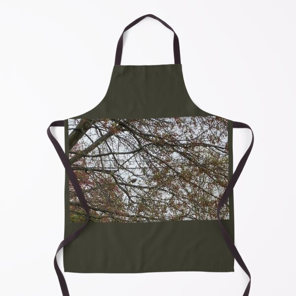 Item preview, Robin in a Tree designed and sold by Amanda1775.