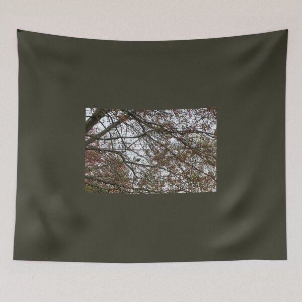 Item preview, Robin in a Tree designed and sold by Amanda1775.