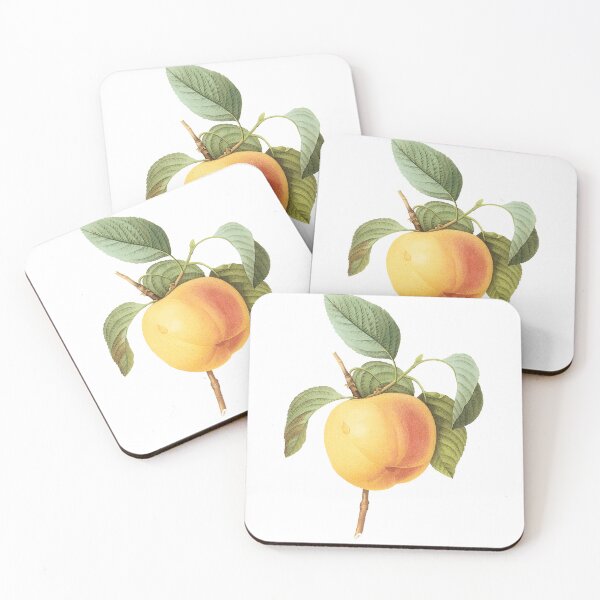 Item preview, Botanical Study of an Apricot designed and sold by interdesigner.
