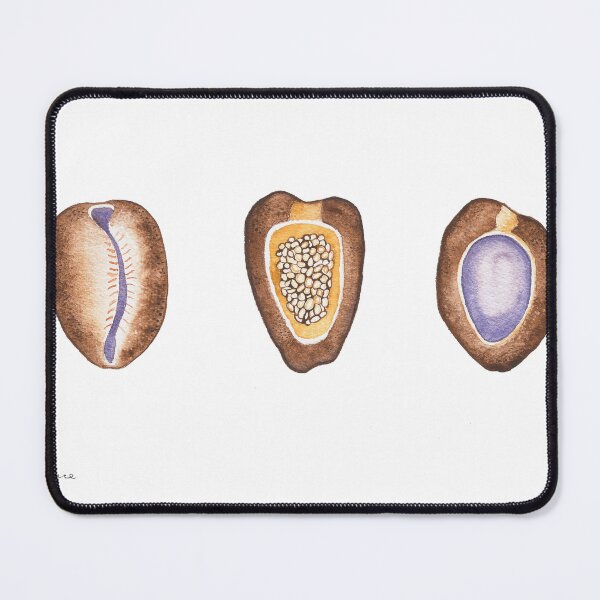 Item preview, Three Cowrie Shells designed and sold by KPierceArt.
