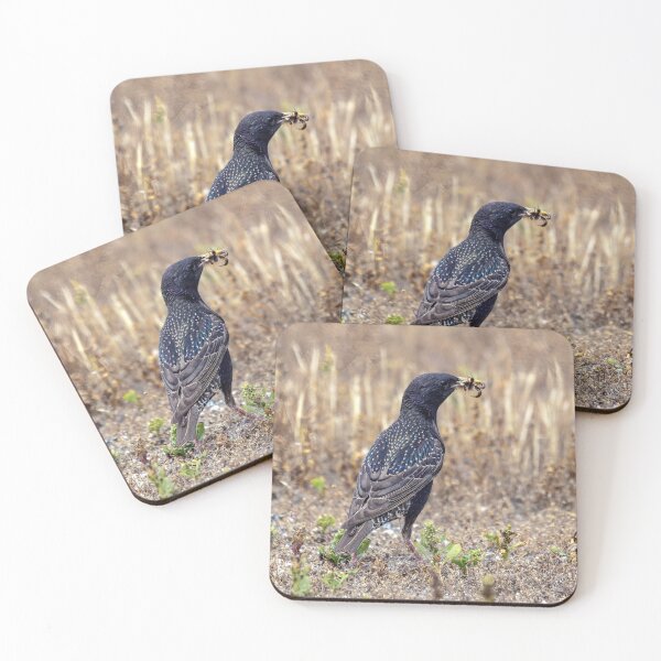Item preview, Starling With a Harvest of bugs designed and sold by CarolM.