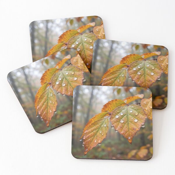 Item preview, Katsura Tree Leaves in Fall designed and sold by Tridentulus.