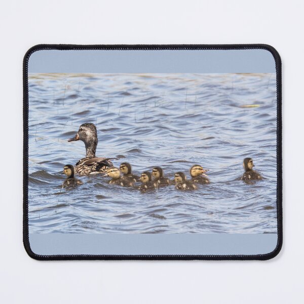 Item preview, Baby Ducklings Staying Close to Mom designed and sold by CarolM.