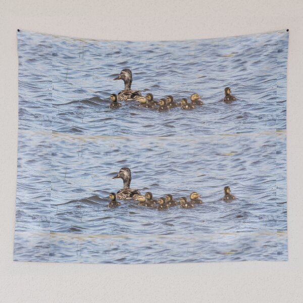 Item preview, Baby Ducklings Staying Close to Mom designed and sold by CarolM.