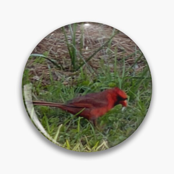 Item preview, Brilliant Cardinal Against a Soft Natural Backdrop. designed and sold by Pearls1.