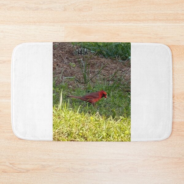 Item preview, Brilliant Cardinal Against a Soft Natural Backdrop. designed and sold by Pearls1.