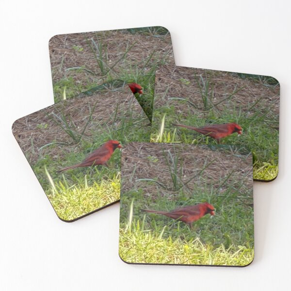 Item preview, Brilliant Cardinal Against a Soft Natural Backdrop. designed and sold by Pearls1.