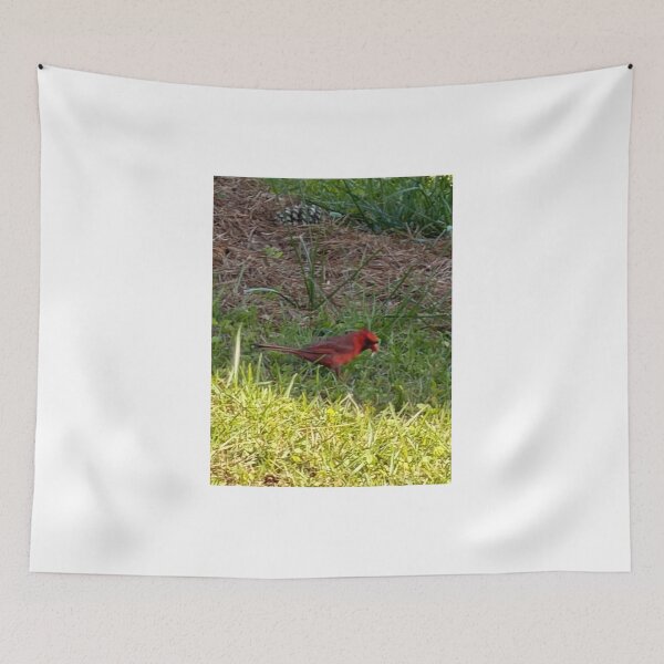Item preview, Brilliant Cardinal Against a Soft Natural Backdrop. designed and sold by Pearls1.