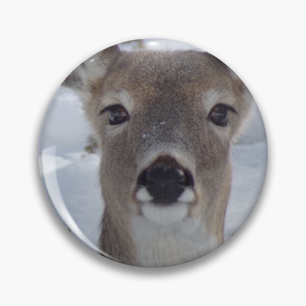 Item preview, Deer in Snow designed and sold by Acts2-32Photos.