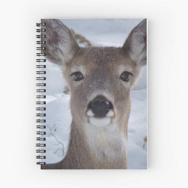 Item preview, Deer in Snow designed and sold by Acts2-32Photos.