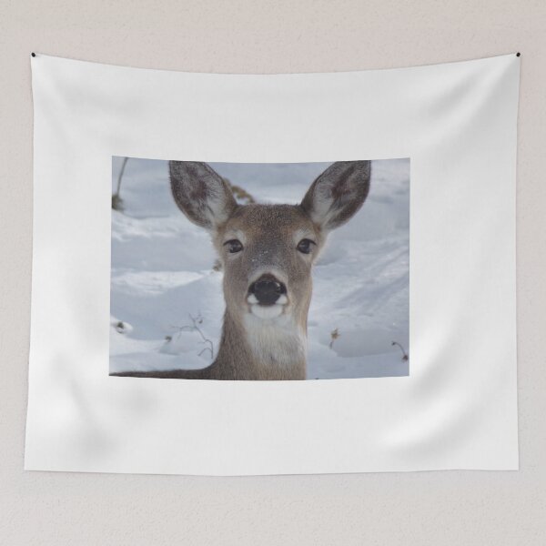 Item preview, Deer in Snow designed and sold by Acts2-32Photos.