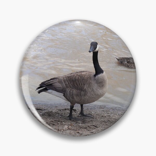 Item preview, Canada Geese On The Beach designed and sold by BackyardBirder.