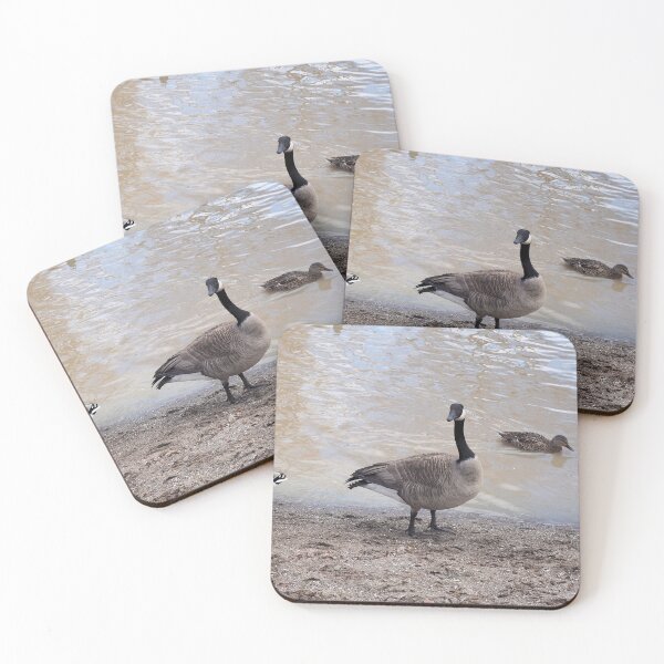 Item preview, Canada Geese On The Beach designed and sold by BackyardBirder.