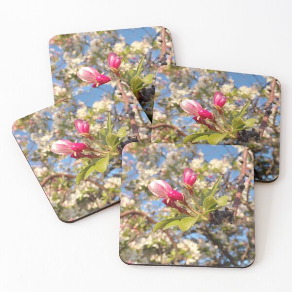 Item preview, Blossom of New Life designed and sold by Acts2-32Photos.
