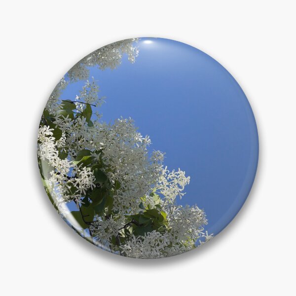 Item preview, White flowers blue sky designed and sold by dhaydream.