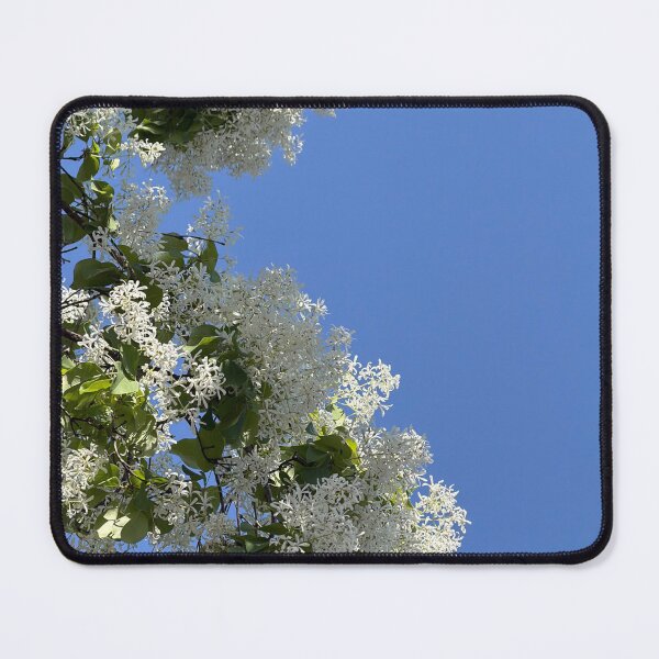 Item preview, White flowers blue sky designed and sold by dhaydream.