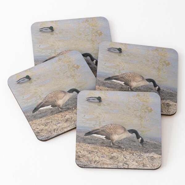 Item preview, Geese Searching The Beach designed and sold by BackyardBirder.