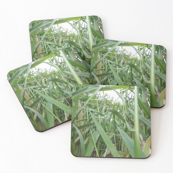 Item preview, View Through the Grass designed and sold by Acts2-32Photos.