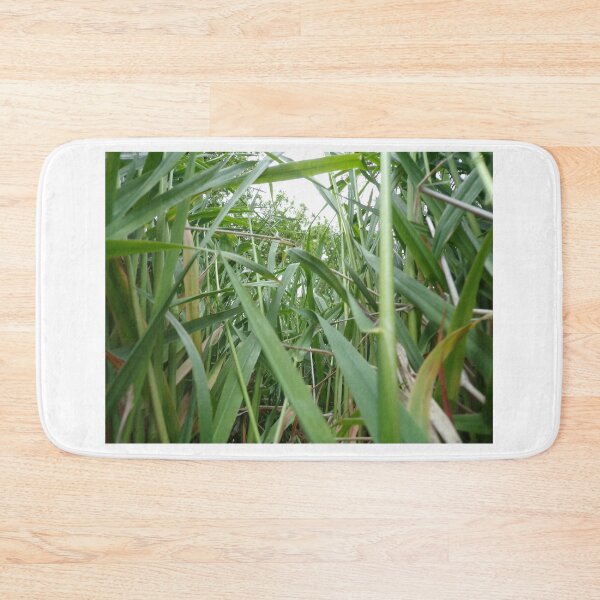 Item preview, View Through the Grass designed and sold by Acts2-32Photos.