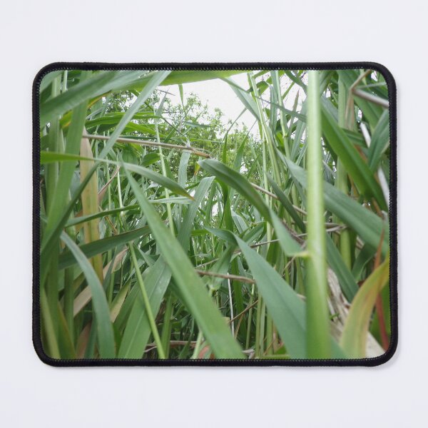 Item preview, View Through the Grass designed and sold by Acts2-32Photos.