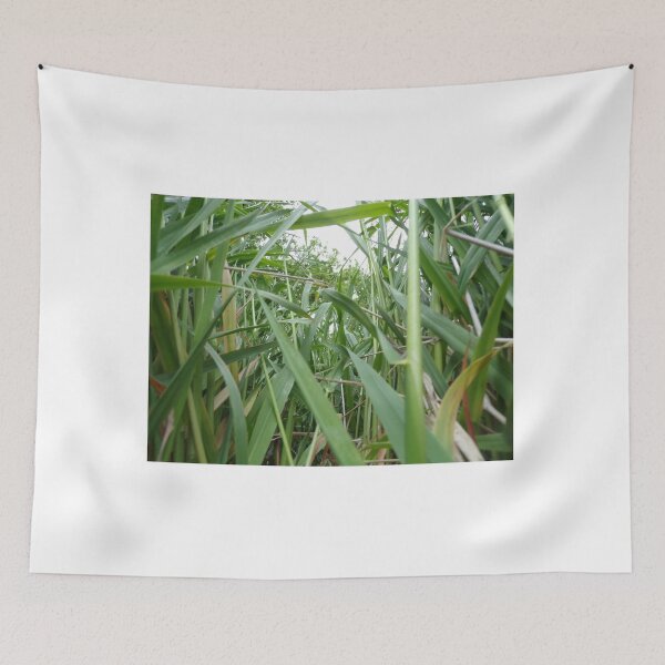Item preview, View Through the Grass designed and sold by Acts2-32Photos.