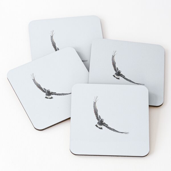 Item preview, Urraca australiana en vuelo designed and sold by robdwildlife.