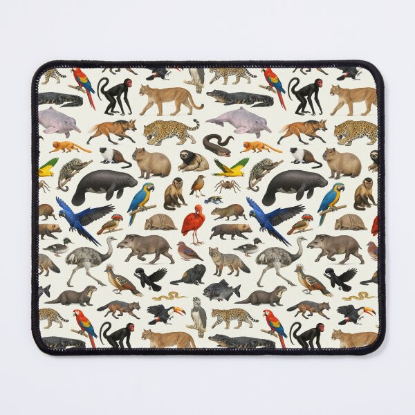 Item preview, Animals of Brazil Retro Style Wildlife Identification Chart designed and sold by kakarikihill.