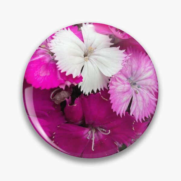 Item preview, Joyful Dianthus designed and sold by Betsy Phillips.
