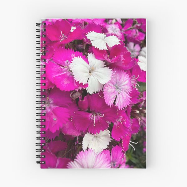 Item preview, Joyful Dianthus designed and sold by Betsy Phillips.