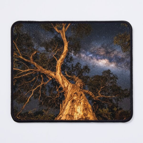 Item preview, Australian Nightfall: Firelight on Gum Leaves designed and sold by Focus & Wander.